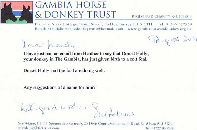 Dorset Holly letter